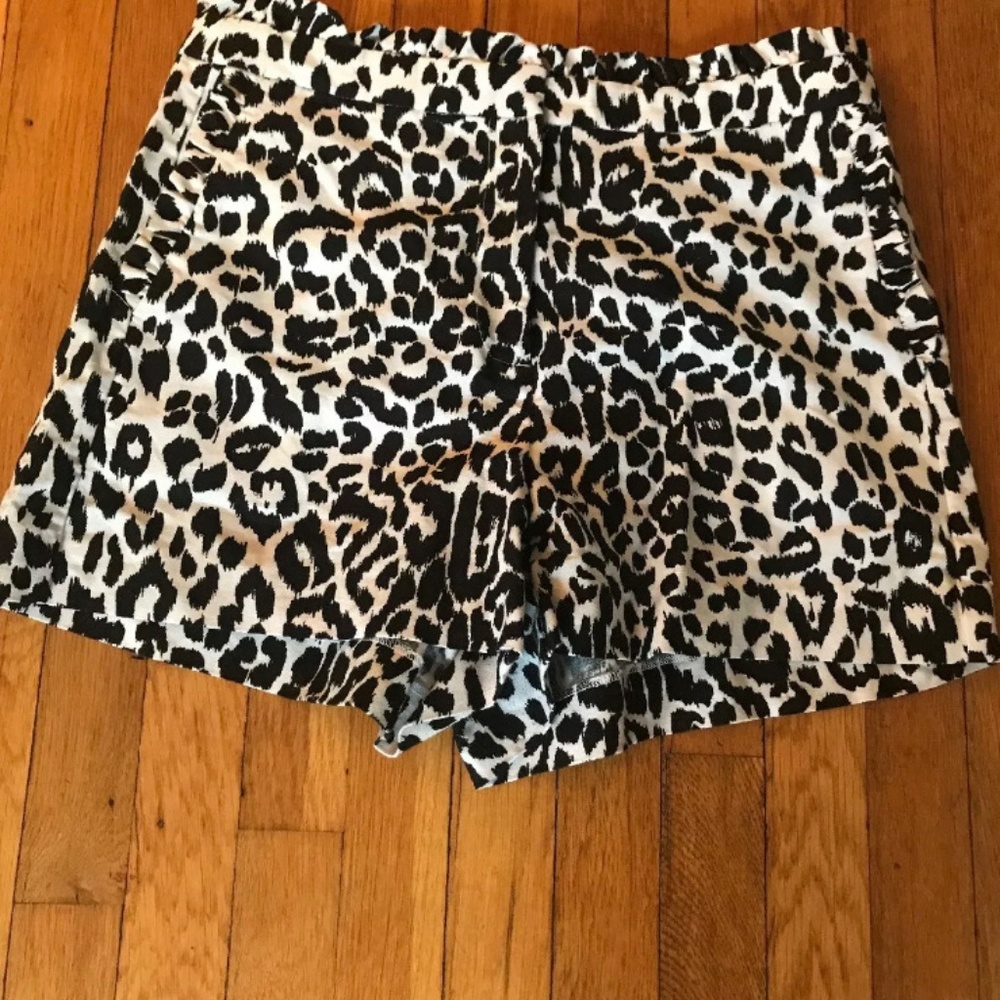 J.Crew Shorts